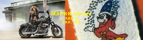 ПСИЛОЦИБИНОВЫЕ ГРИБЫ Переславль-Залесский