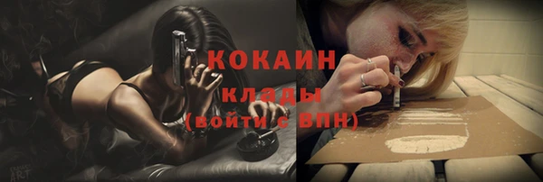 твердый Покровск