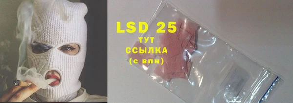 дживик Пересвет