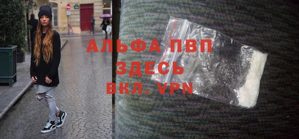 ПСИЛОЦИБИНОВЫЕ ГРИБЫ Переславль-Залесский