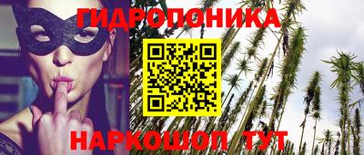 гидра Балахна