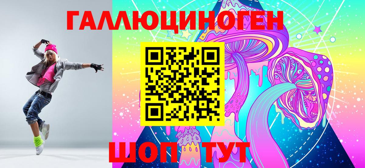 купить   Великие Луки  Галлюциногенные грибы Psilocybine cubensis 